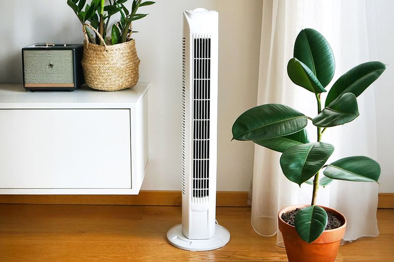 A white tower fan in a white room with wood flooring. Next to the fan is a potted plant.
