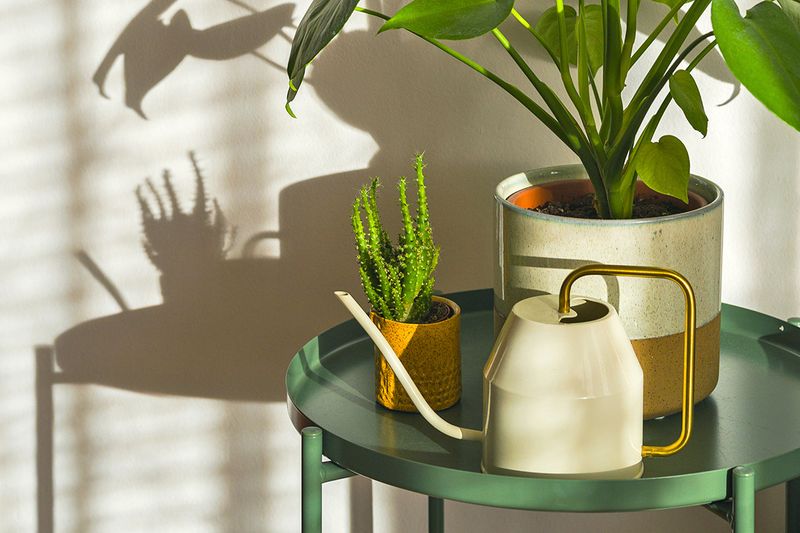 A small green side table with two potted plants in decorative pots. Looking closely, you can see the plants are in nursery pots inside the decorative planters.
