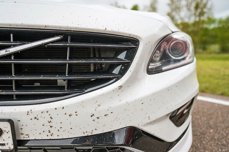 A close-up of a white car with bug splatter all over the front bumper.