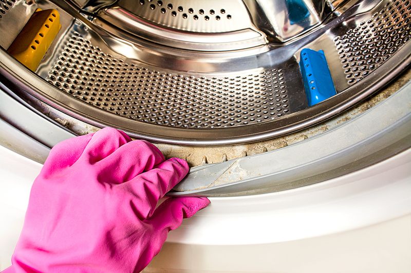 Anonymous person wearing rubber cleaning gloves peeling back the rubber gasket of a front-load washer to reveal mold and gunk.