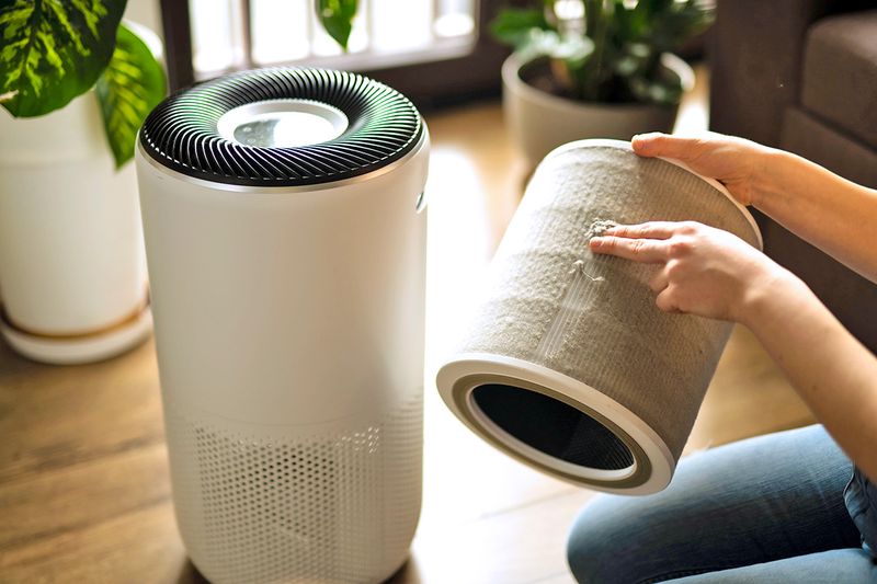 Anonymous person removing a dirty, dust-covered filter from an air purifier.