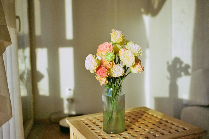 A bouquet of carnations in a ribbed glass vase.