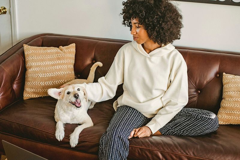 Young woman sitting on a leather sofa with a white and tan terrier dog.
