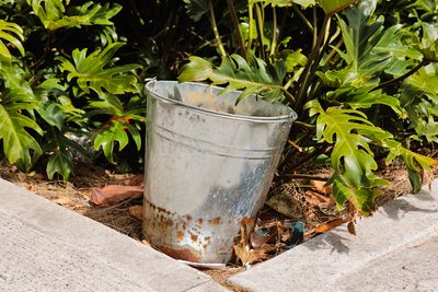 Your Backyard Needs a ‘Mosquito Bucket of Doom’