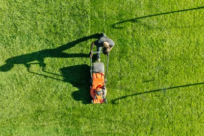 9 Things That Are Ruining Your Lawn