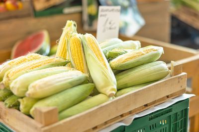 3 Tips for Spotting the Sweetest Corn at the Grocery Store