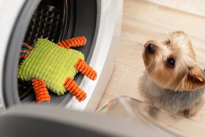 8 Household Items You Didn’t Know You Could Clean in the Washing Machine