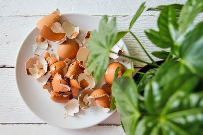 22 Kitchen Scraps You Should Never Throw Away
