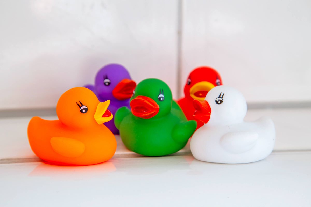 Rubber ducks of all different colors
