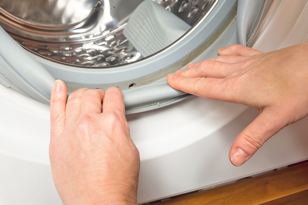 Checking washing machine gasket