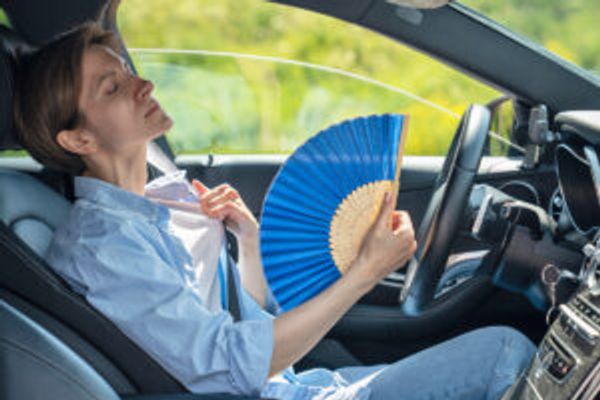 Woman in car with fan