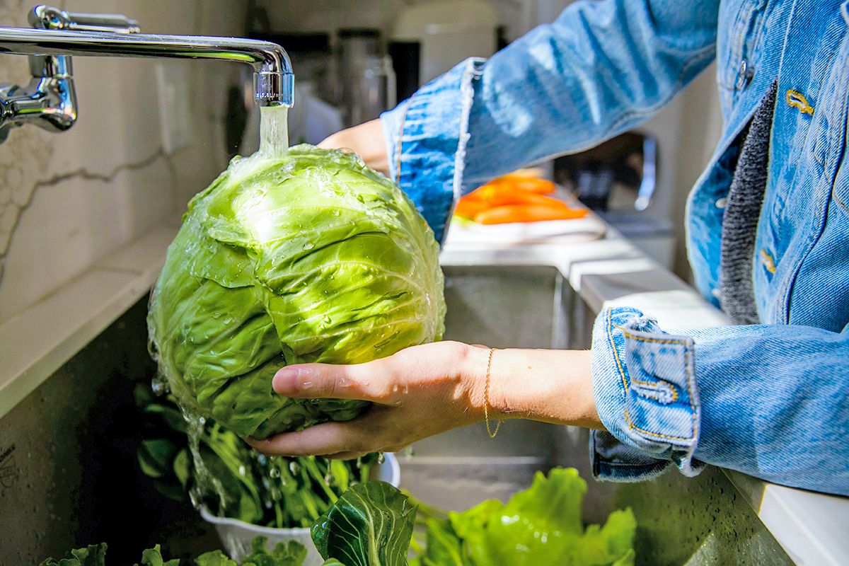 Person washing lettuce