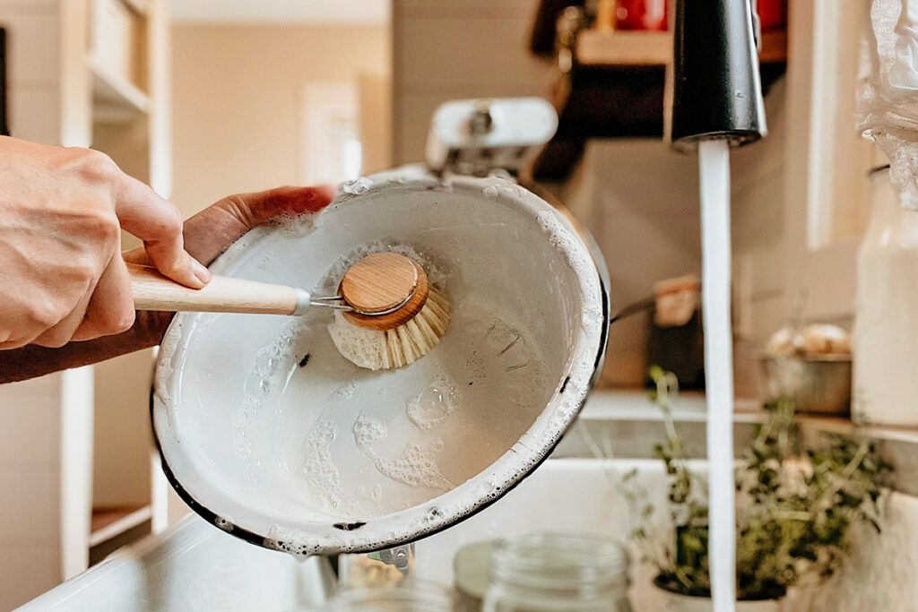 Cleaning dish with brush