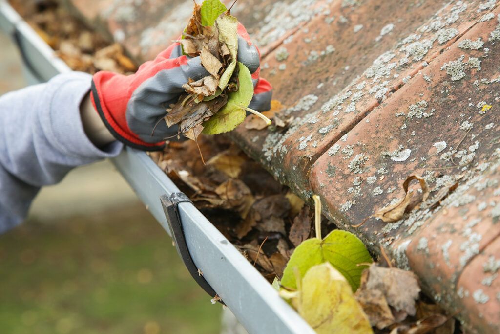 Hand full of leaves above leaf-filled gutter