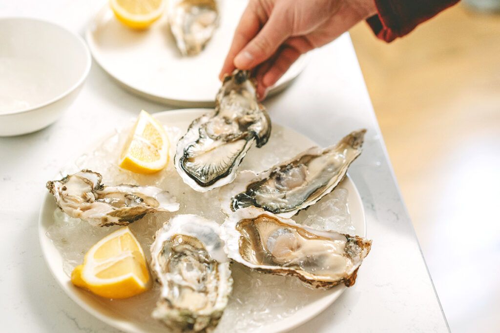 Oysters on ice