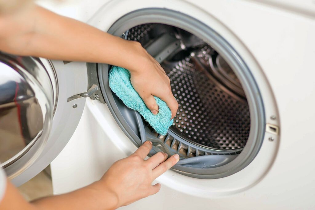 Cleaning washing machine gasket