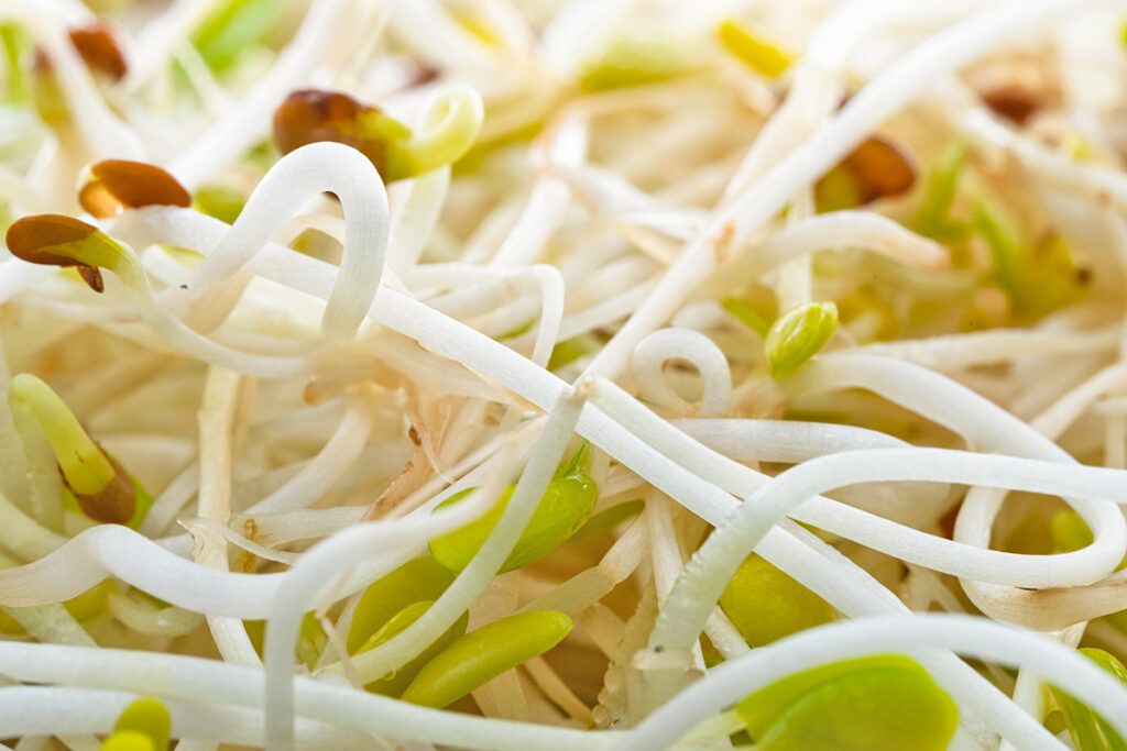 Sprouts