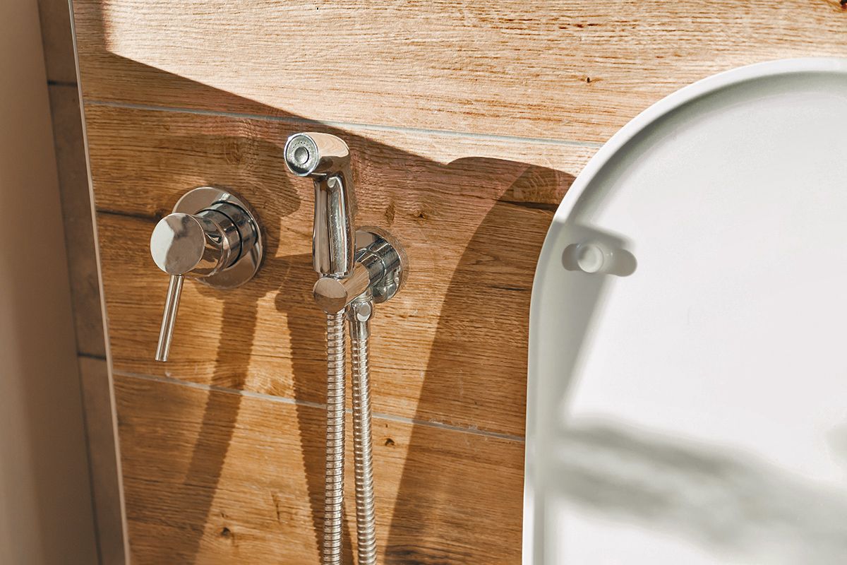Toilet and bidet nozzle