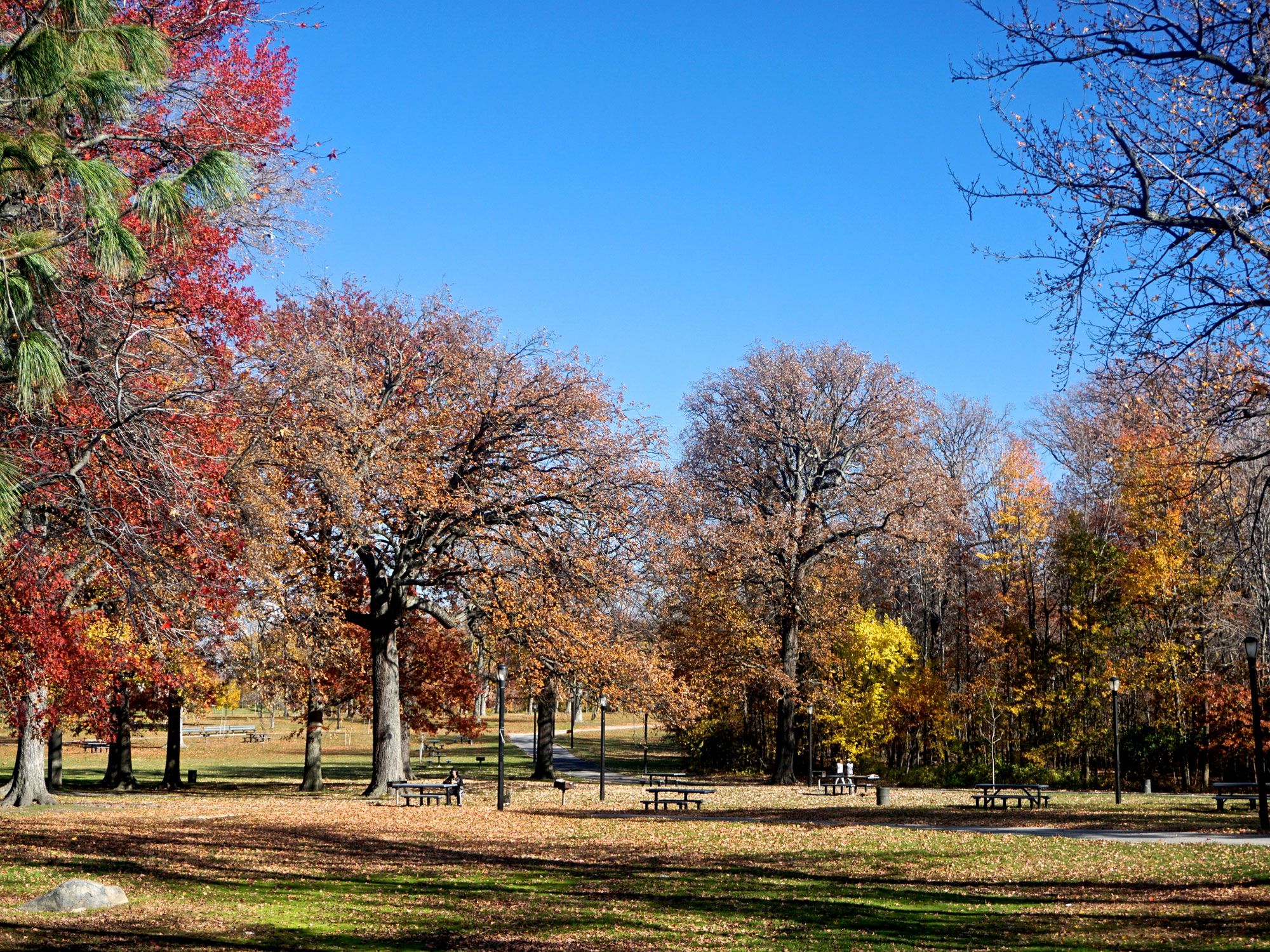 Pelham Bay Park in the Bronx borough of New York City