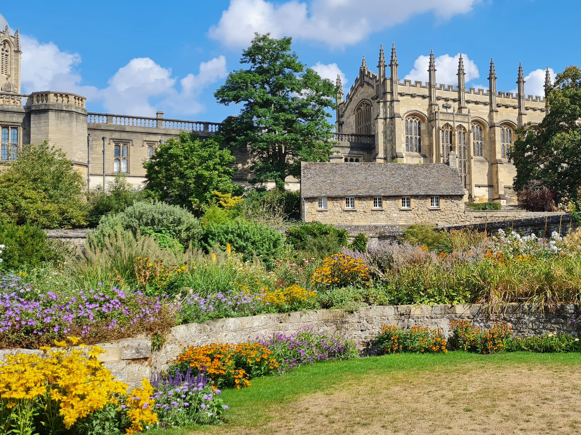 Where Are the World's Oldest Botanical Gardens? - Daily Passport