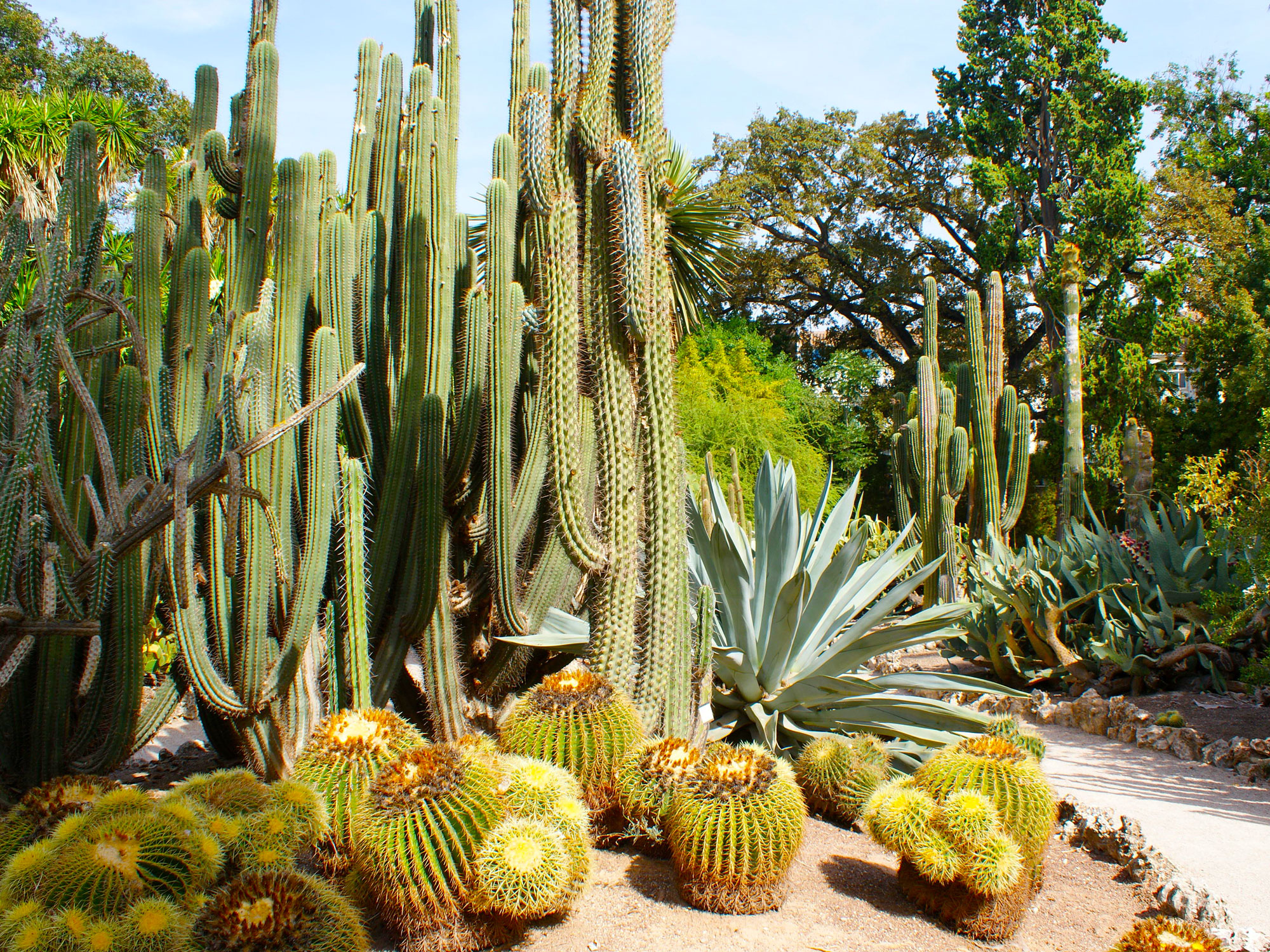 Where Are the World's Oldest Botanical Gardens? - Daily Passport