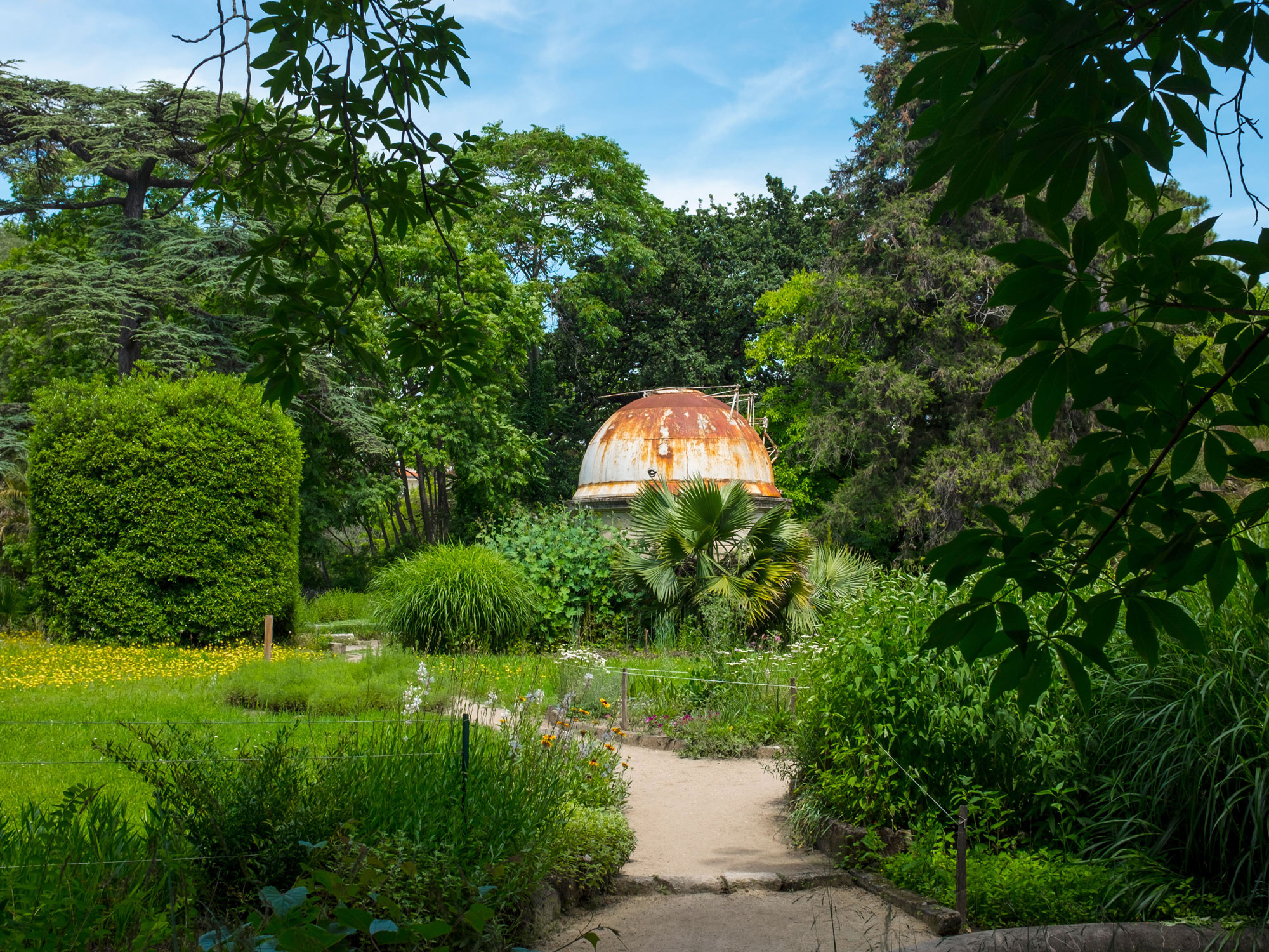 Where Are the World's Oldest Botanical Gardens? - Daily Passport