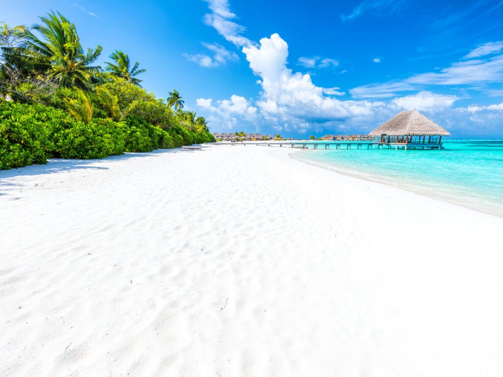 White-sand beach in the Maldives