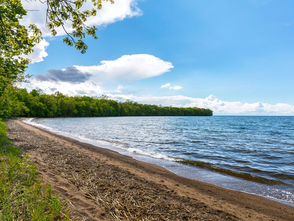 Sandy lake shore