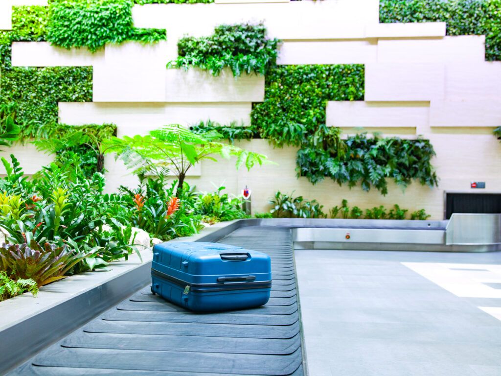 Suitcase on baggage belt surrounded by foliage