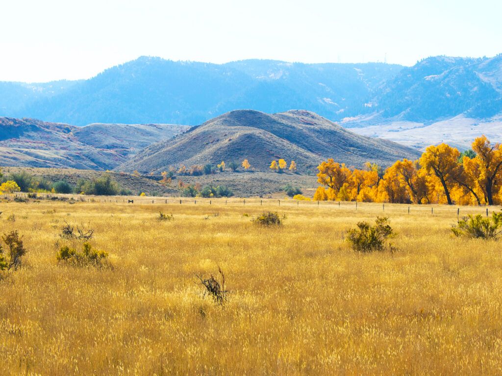 Grassy field and mountains in Casper, Wyoming