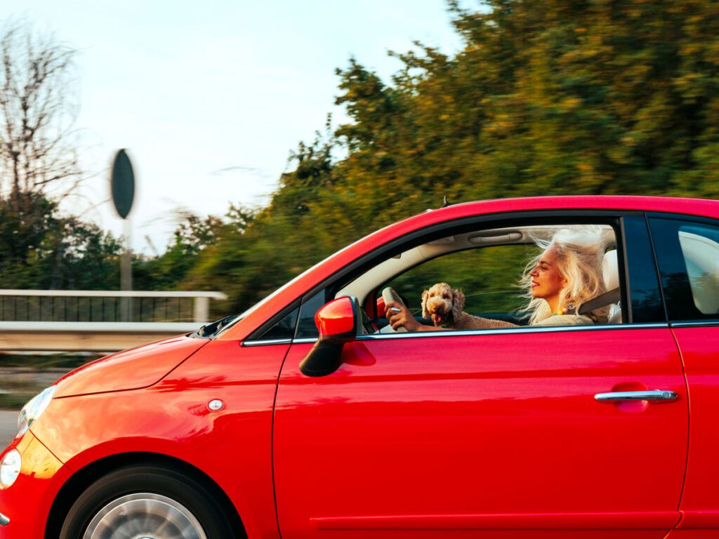 Woman driving car with dog in passenger seat