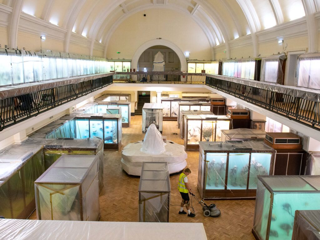 Natural History Gallery, Horniman Museum, London