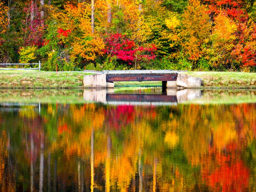 Fall colors reflect on a pond