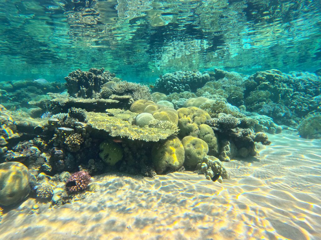 
Jordan's Aqaba Marine Reserve