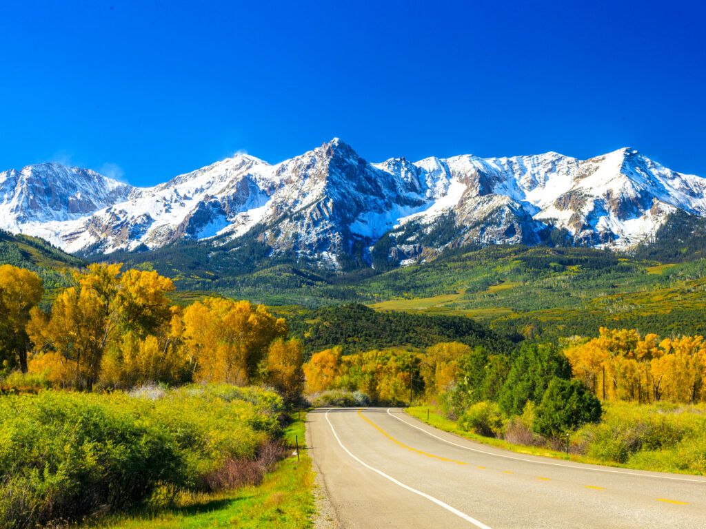 Yellow aspens in Colorado