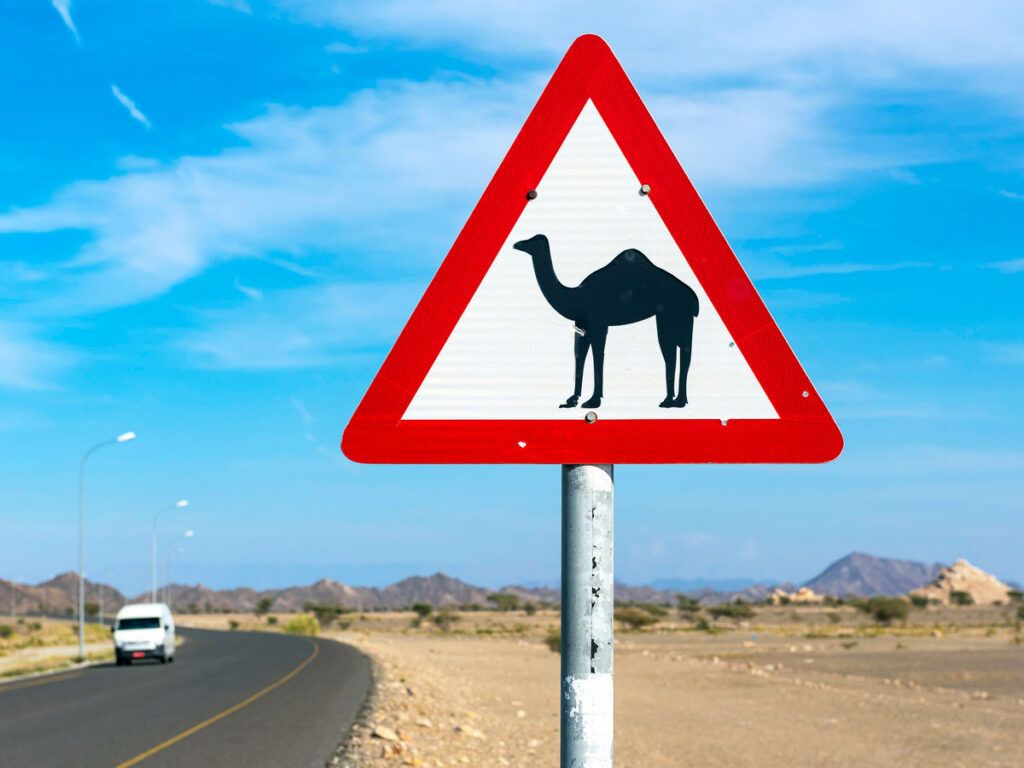 Camel crossing sign 
