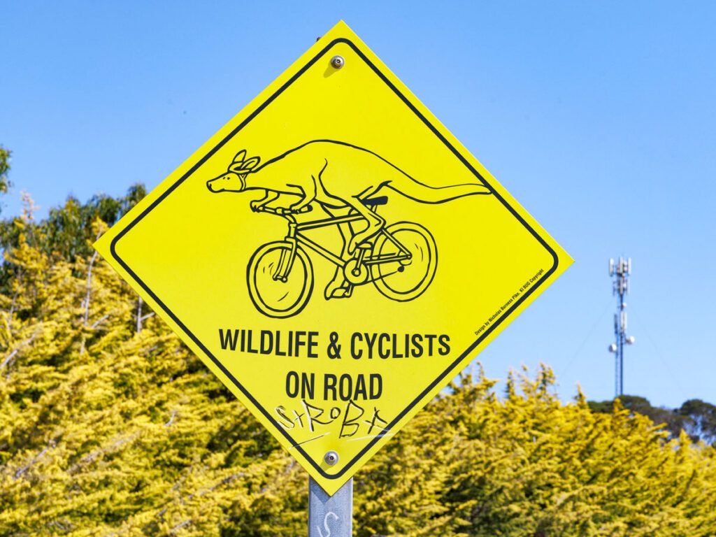 Wildlife and cyclists on road sign featuring a kangaroo in Australia