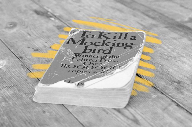 "To Kill a Mockingbird" book