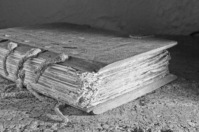 Codex-style book