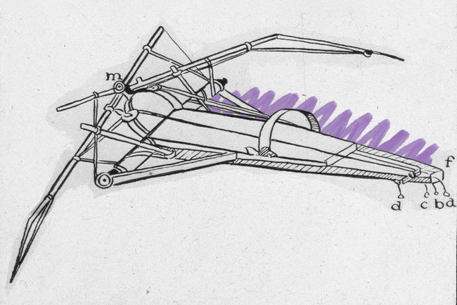 Leonardo's ornithopter