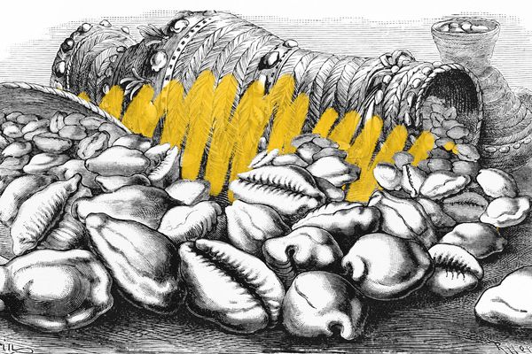 Cowrie shells used as money