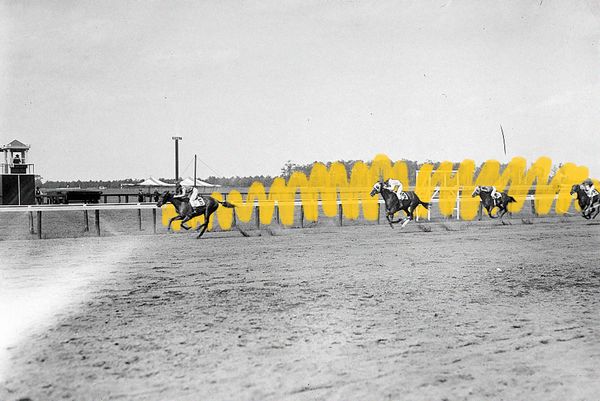 Horses racing at Belmont Park