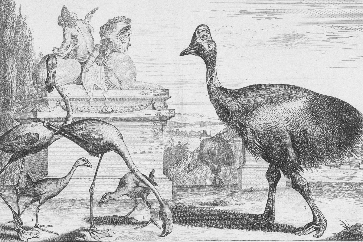 Menagerie of Versailles