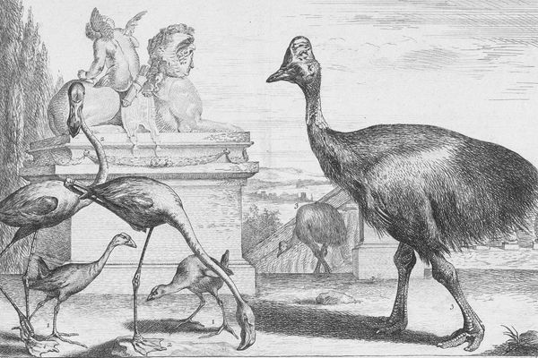 Menagerie of Versailles