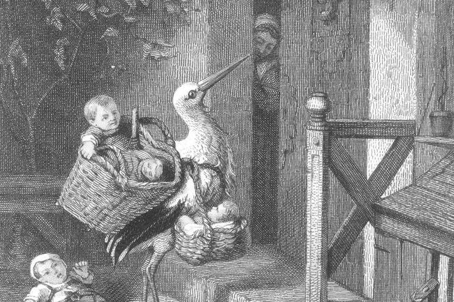 Stork with babies at a front door