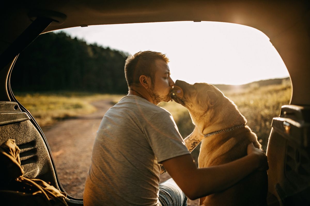 8 Paws-itively Fascinating Facts About Man’s Best Friend