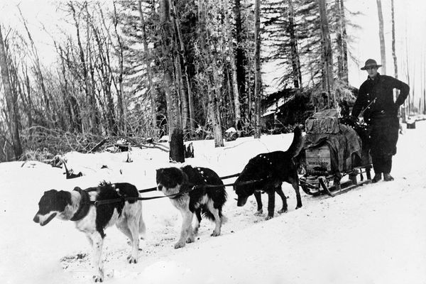 Dogsled mail team, c. 1900