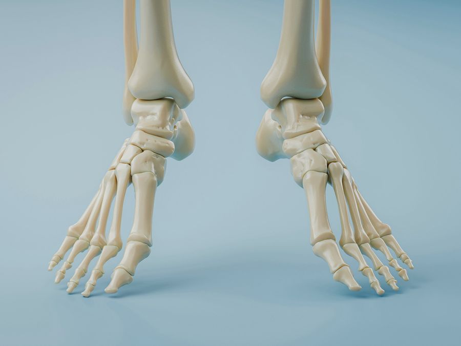 What’s Holding Your Skeleton Together?