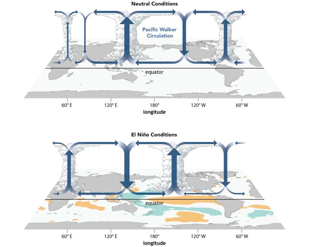 Diagram of El Nino