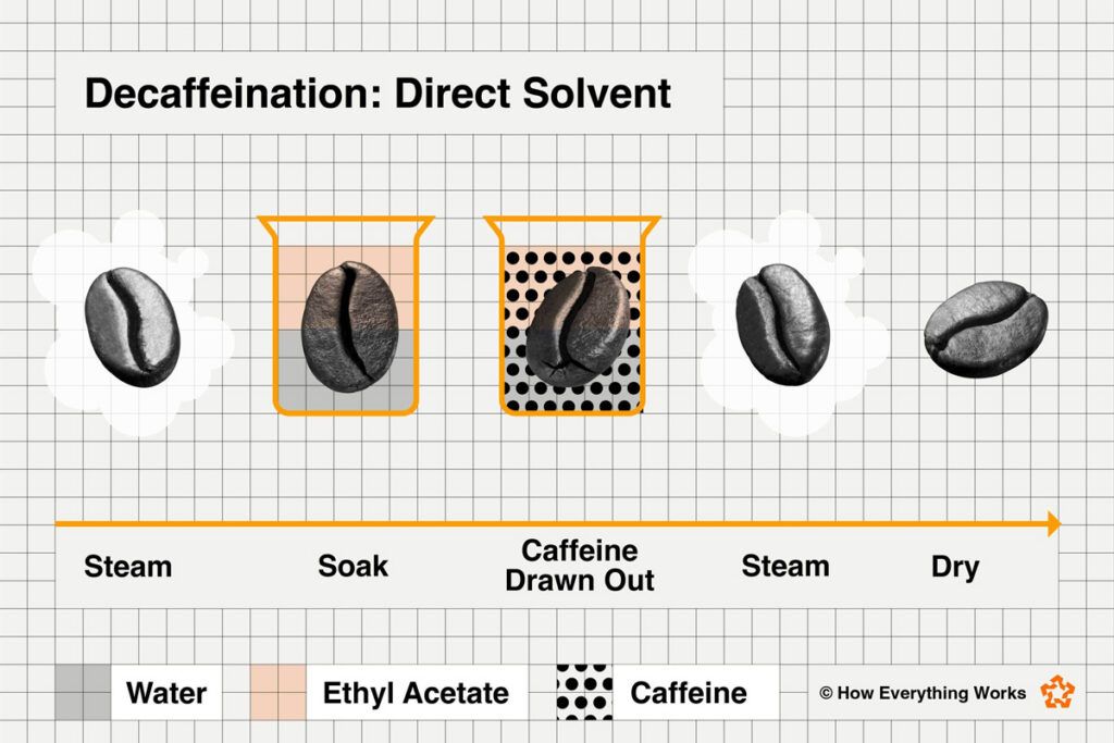 Diagram of how direct solvent decaf process works